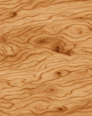 Curly Birch Woodgrain