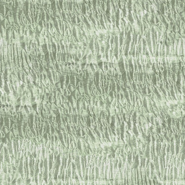 Curly Maple Woodgrain 23 Trapis Green