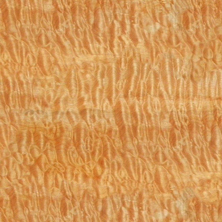 Curly Maple Woodgrain 23