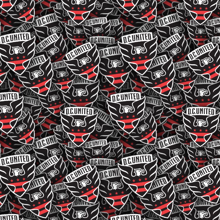 D.C. United 22