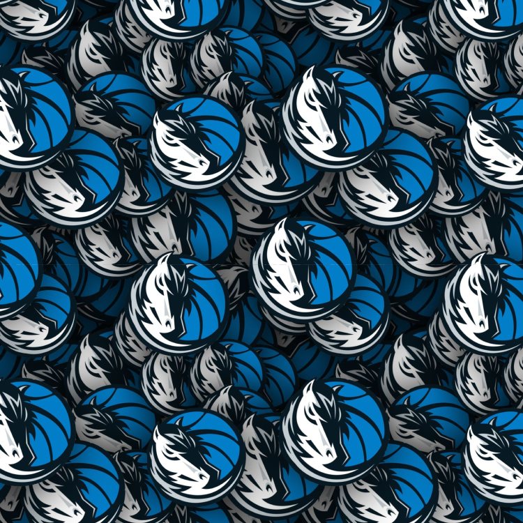 Dallas Mavericks 23