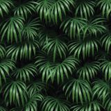 Dark-Palm-Fronds