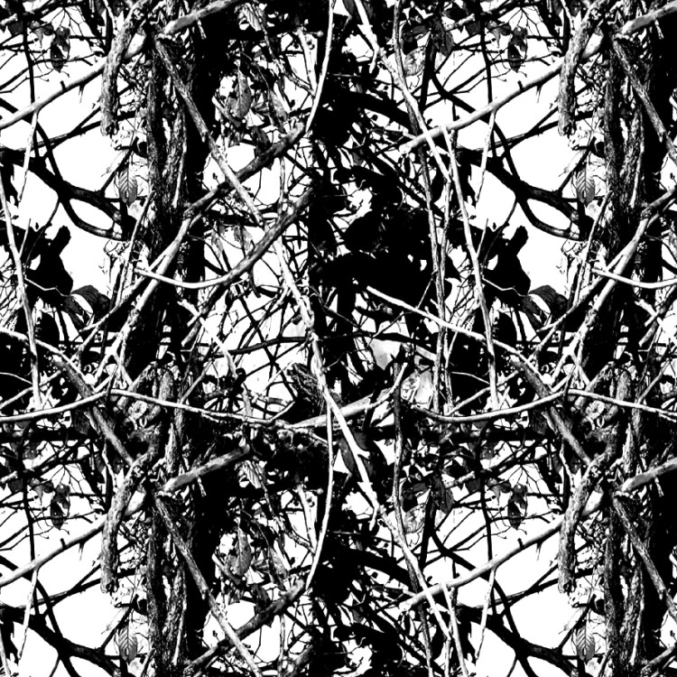 DarkShire Woods Snow Camouflage