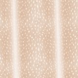 Deer-Fawn-Fur-28