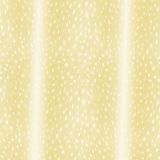 Deer-Fawn-Fur-32
