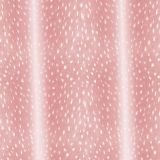 Deer-Fawn-Fur-33