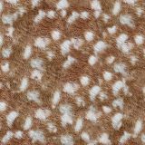 Deer-Fawn-Fur-thumb