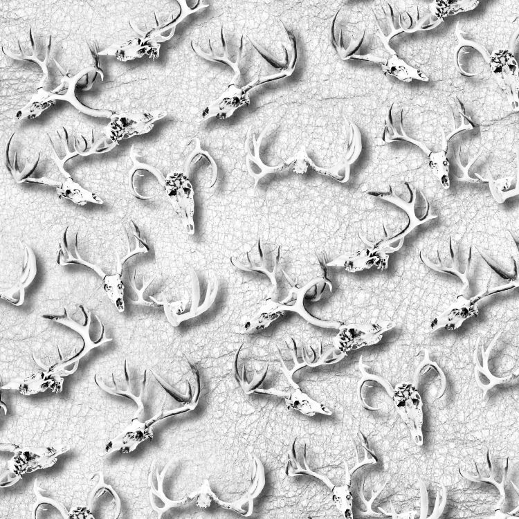 Deer Skulls 34