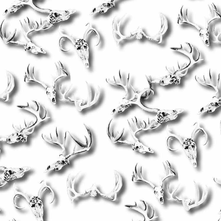 Deer Skulls 36