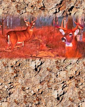 Deer Woods 24