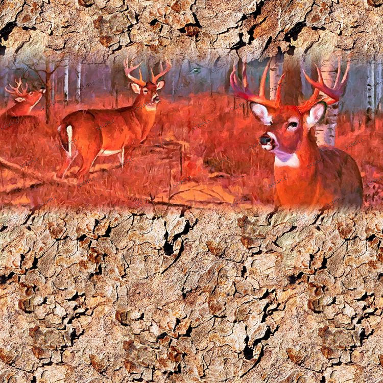 Deer Woods 24