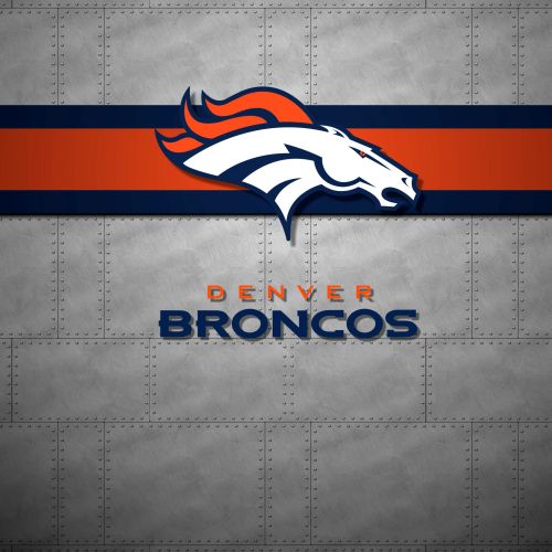 Denver Broncos 22 11×16