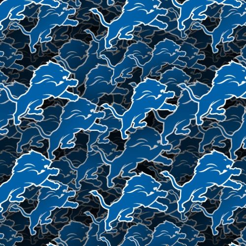 Detroit Lions 22