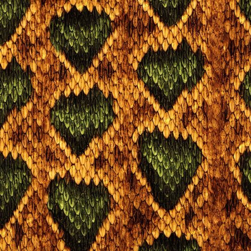 Diamondback Rattlesnake Orange Green