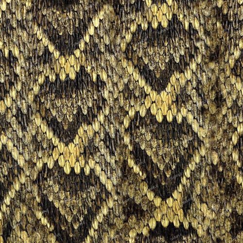 Western Diamondback Rattler Scales