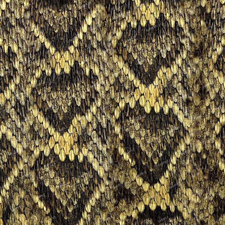 Western Diamondback Rattler Scales