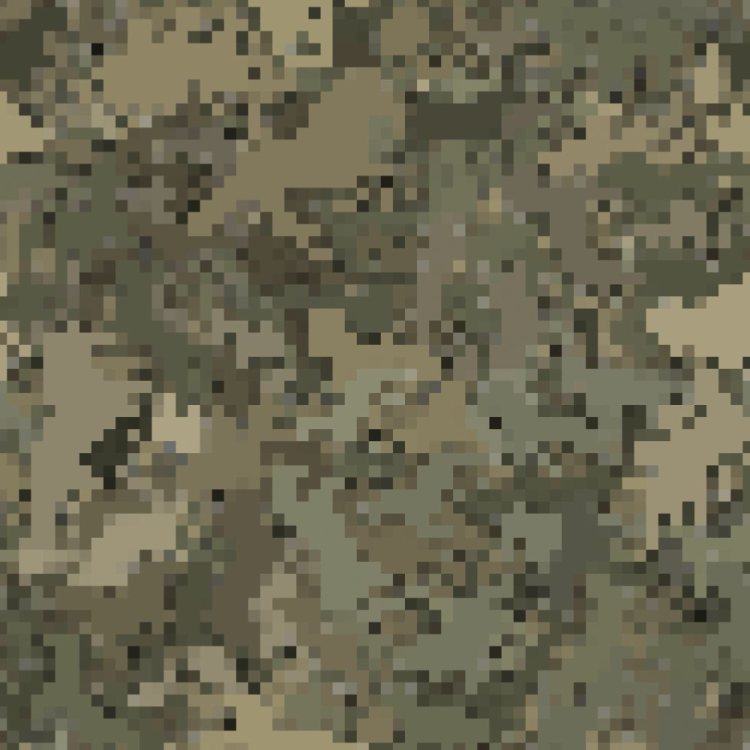 Digital EQ Camouflage