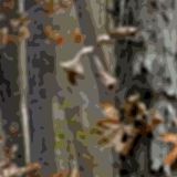 Digital-Stick-and-Leaf-Camo