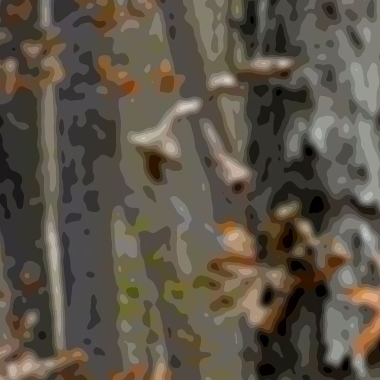 Digital Stick and Leaf Camouflage