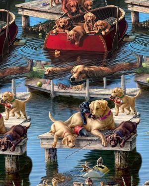 Dock Dogs 22