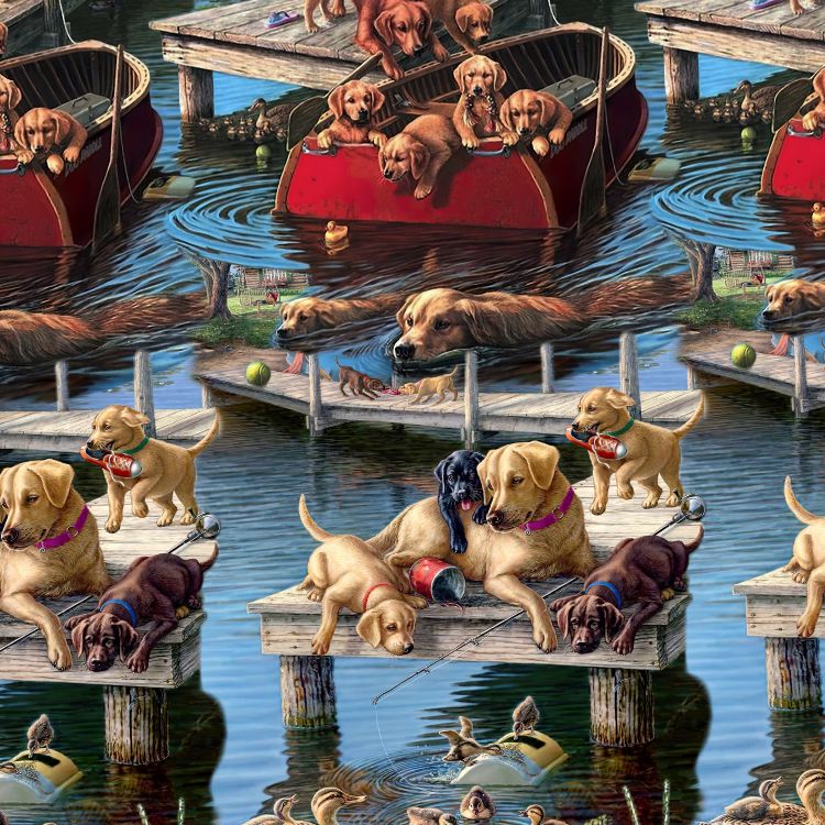 Dock Dogs 22