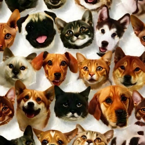 Dog and Cat Faces
