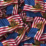 Dont-Tread-on-Me-Burnt-US-Flag-22