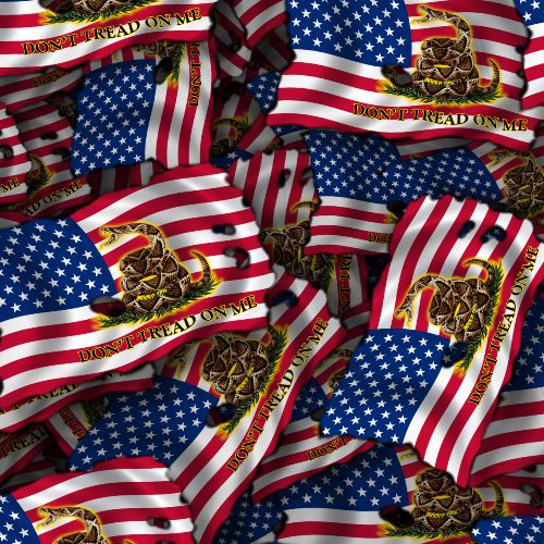 Dont Tread on Me Burnt US Flag 22