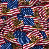 Dont-Tread-on-Me-Burnt-US-Flag-24