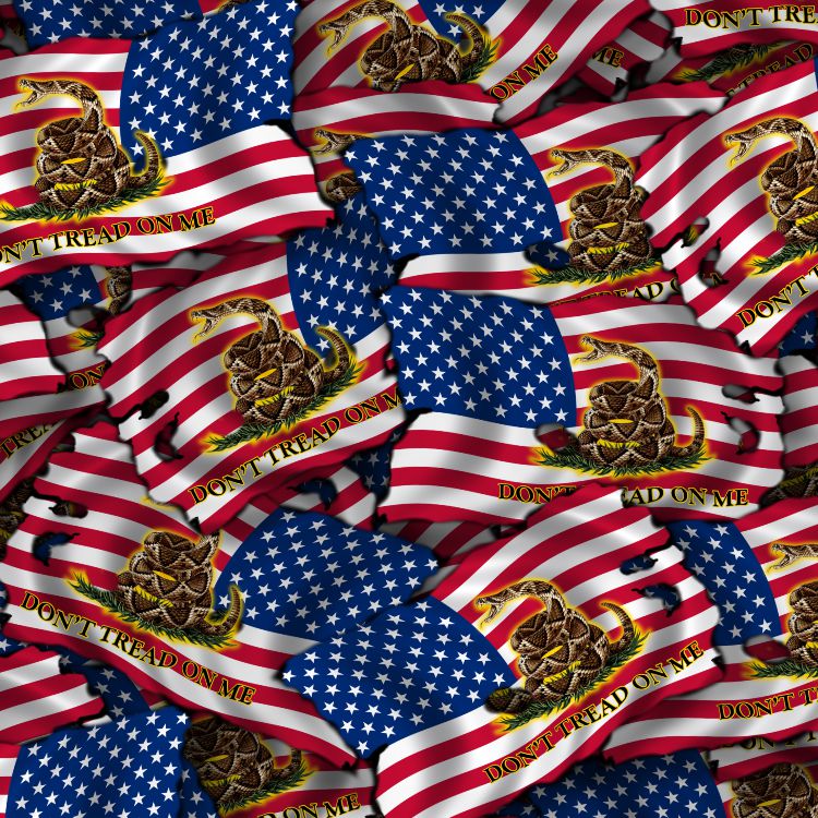 Dont Tread on Me Burnt US Flag 24