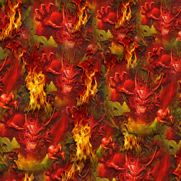 Dragon Fire 22