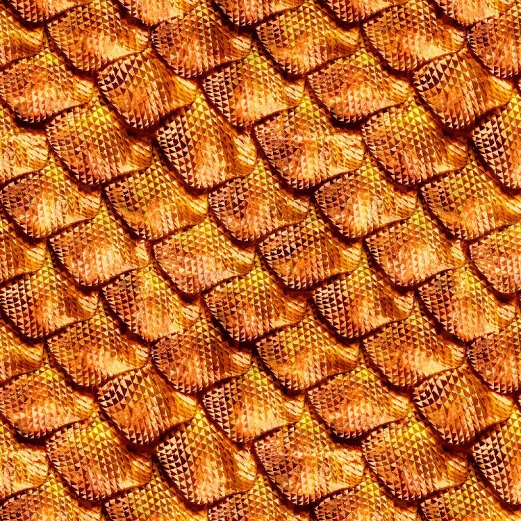 Dragon Scales 22