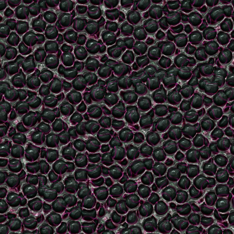 Dragon Underbelly Skin 23