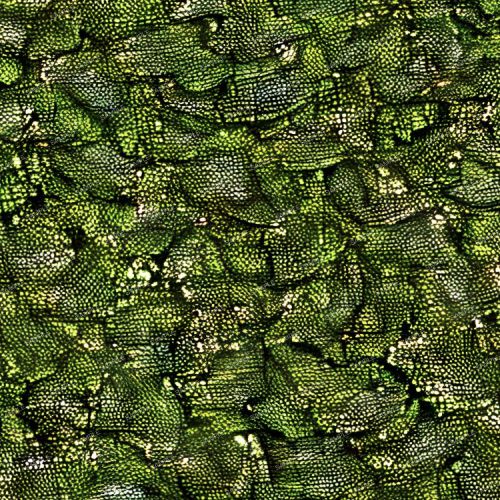 Dragons Underbelly Camouflage 44