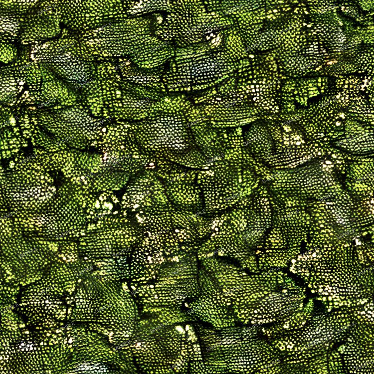 Dragons Underbelly Camouflage 44