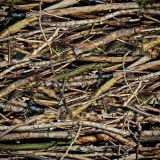 Dry-Sticks
