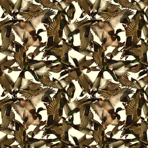 Ducks