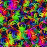 Dyed-Roses-23-thumb.jpg