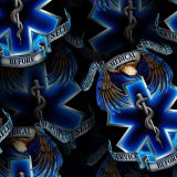 EMS-Badge-22