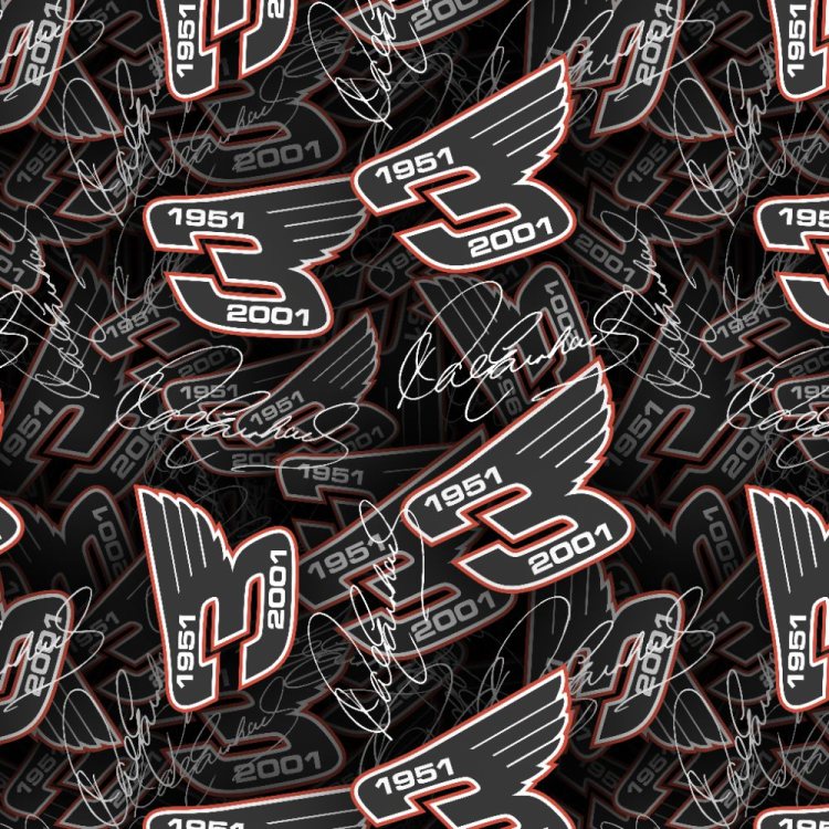 Earnhardt Wings