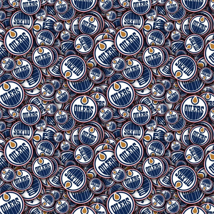 Edmonton Oilers 22