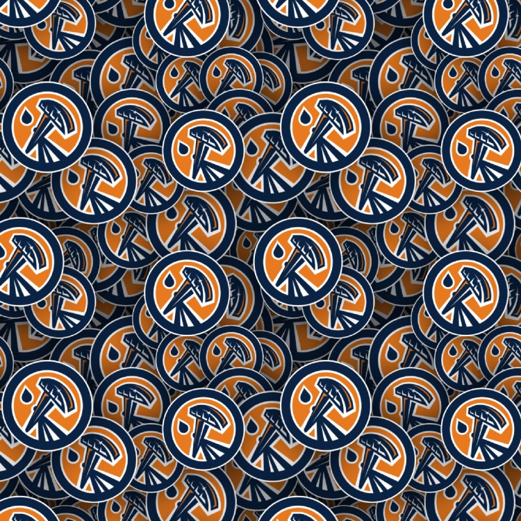 Edmonton Oilers 26