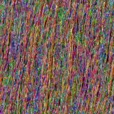 Electrostatic-Rainbow-26
