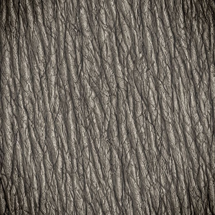 Elephant Skin 25