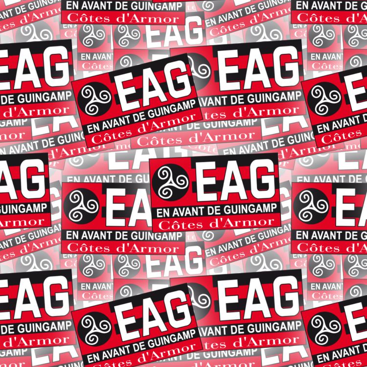 En Avant de Guingamp