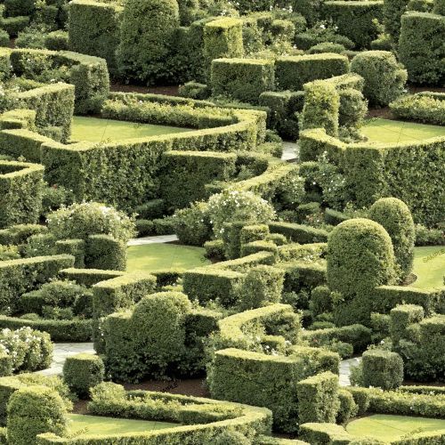 English Maze Garden