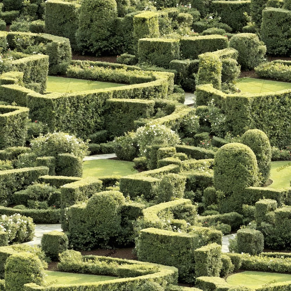 English Maze Garden