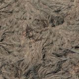 Ethopian-Sat-Camo-31-thumb