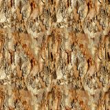 Eucalyptus-Bark-22.jpg