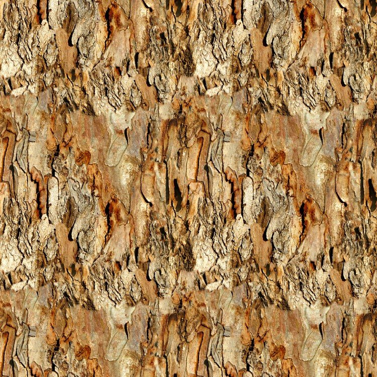Eucalyptus Bark 22